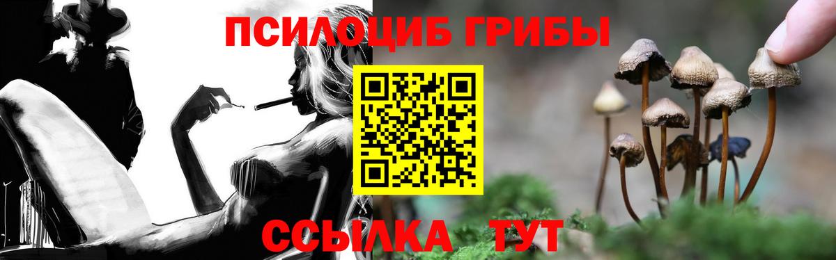 Псилоцибиновые грибы MAGIC MUSHROOMS  Псилоцибиновые грибы Magic Shrooms  Вход с VPN  Канаш 
