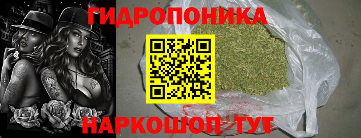 Канаш  Каннабис White Widow  Бошки Шишки ГИДРОПОН  Вход с VPN  Конопля планчик 